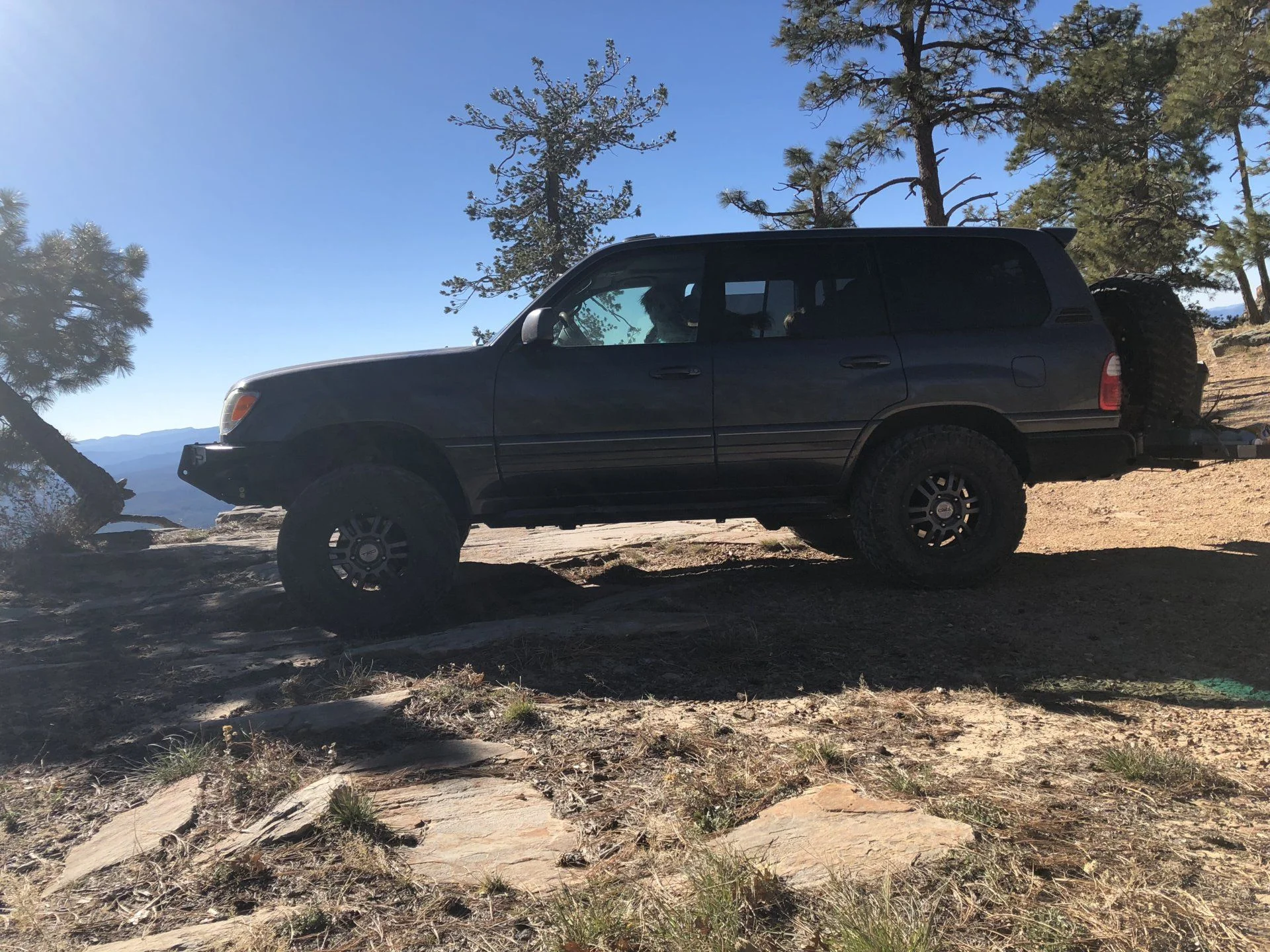 Mogollon Rim