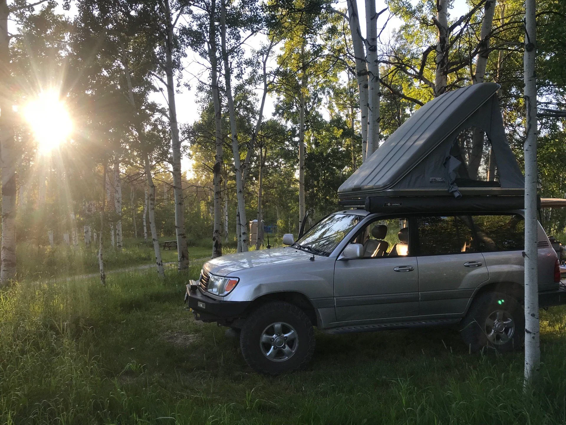 Montana Campsite