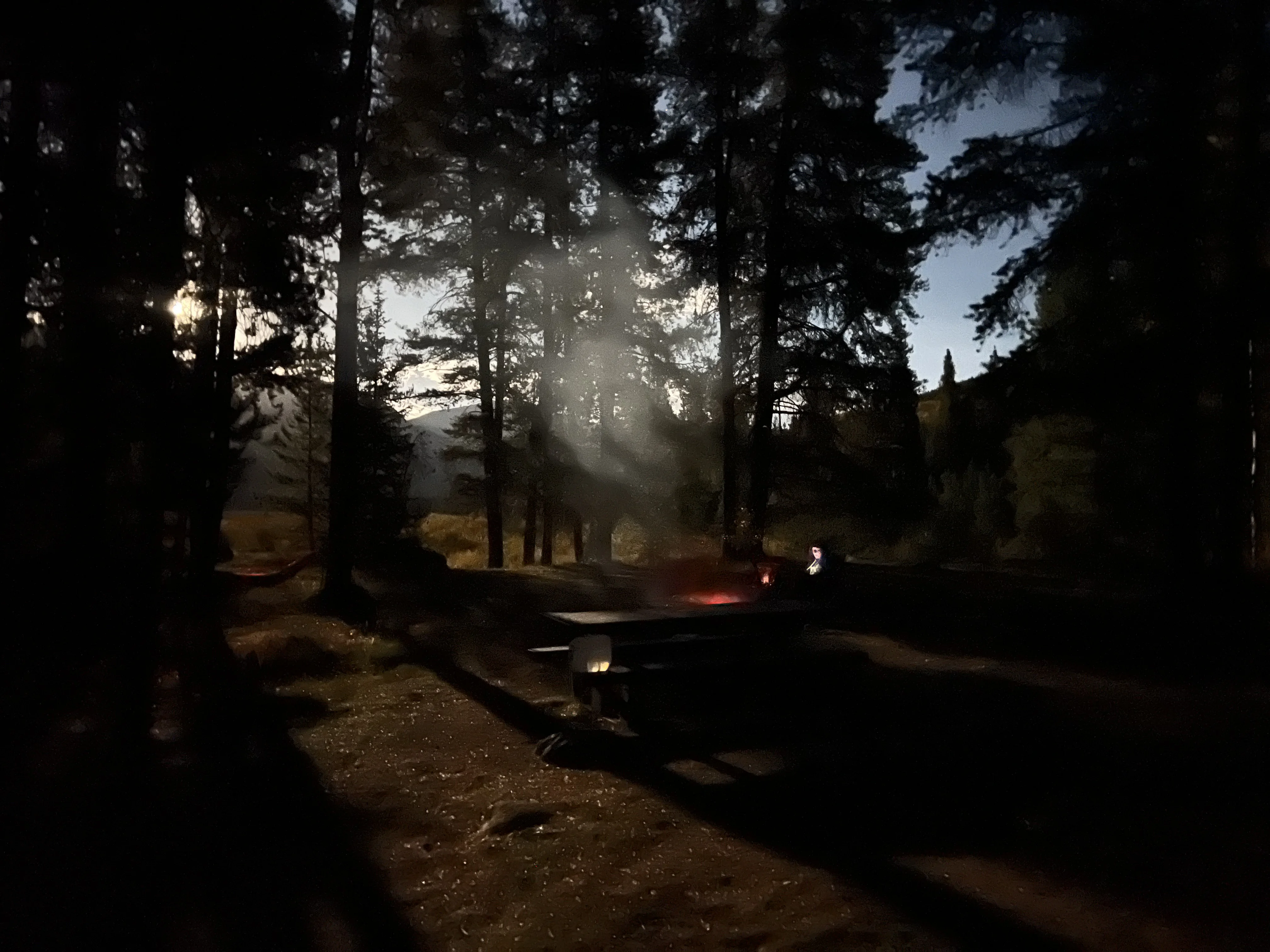 Moon shadows Chapman