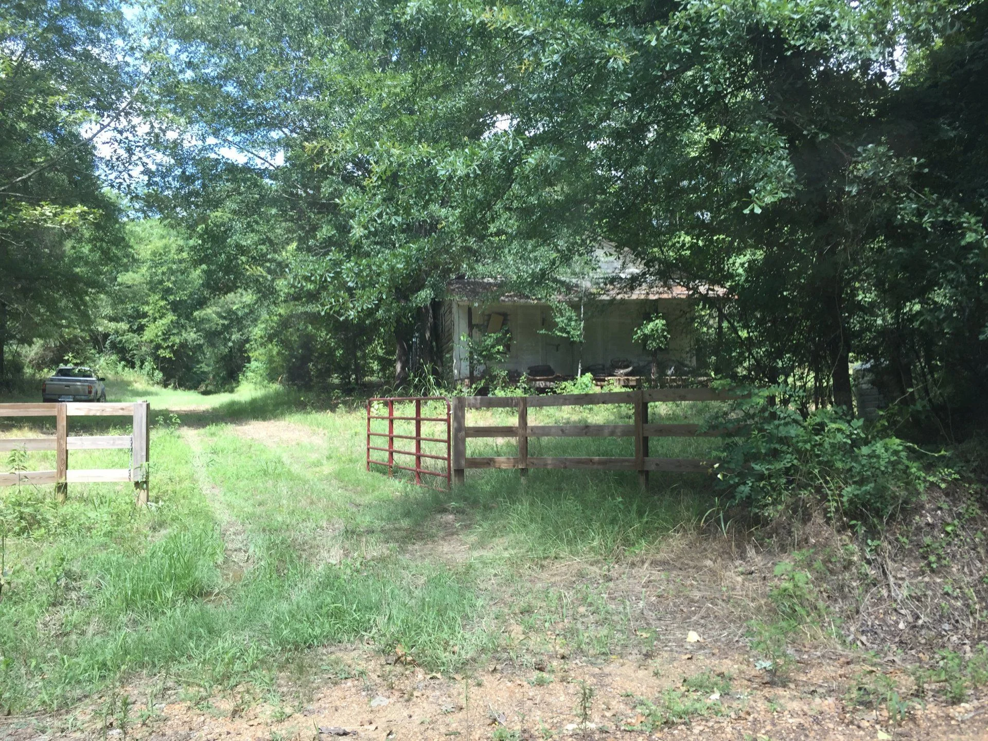 MS House