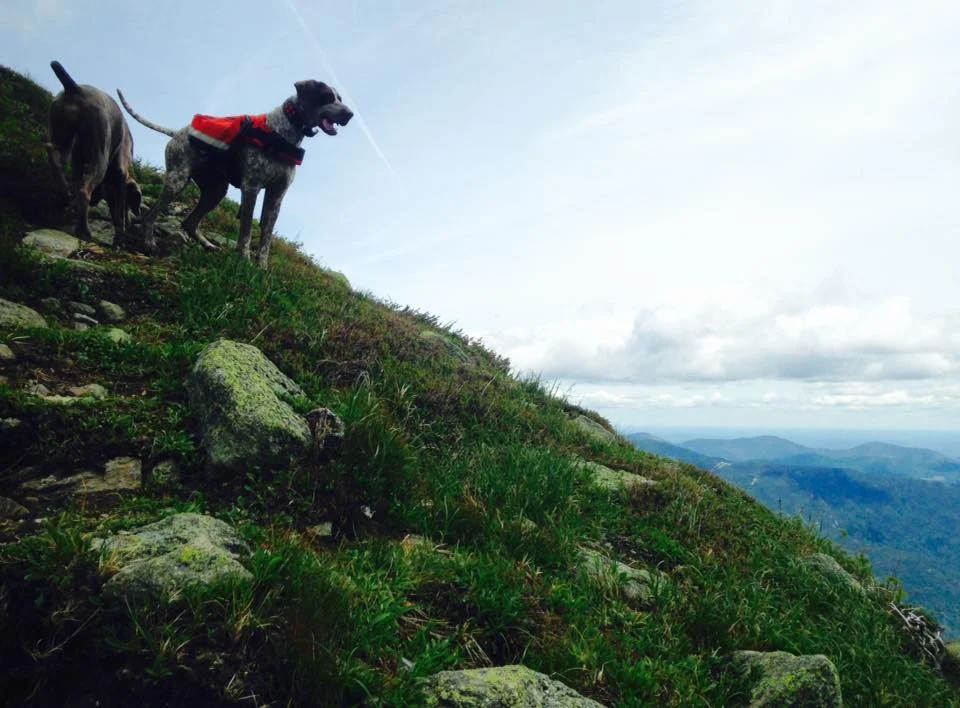 Mt Washington NH