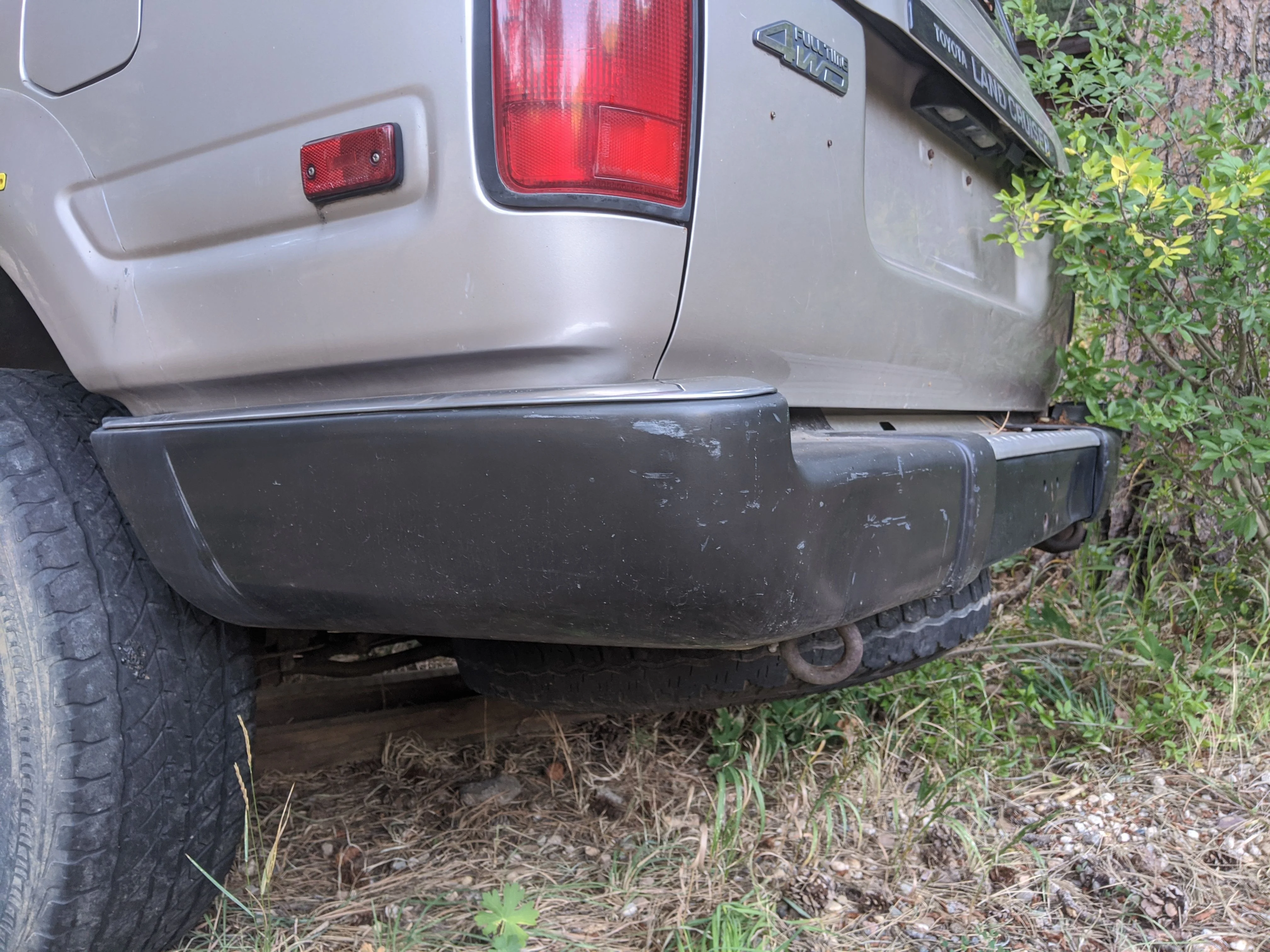 MVIMG_20190925_072259.jpg