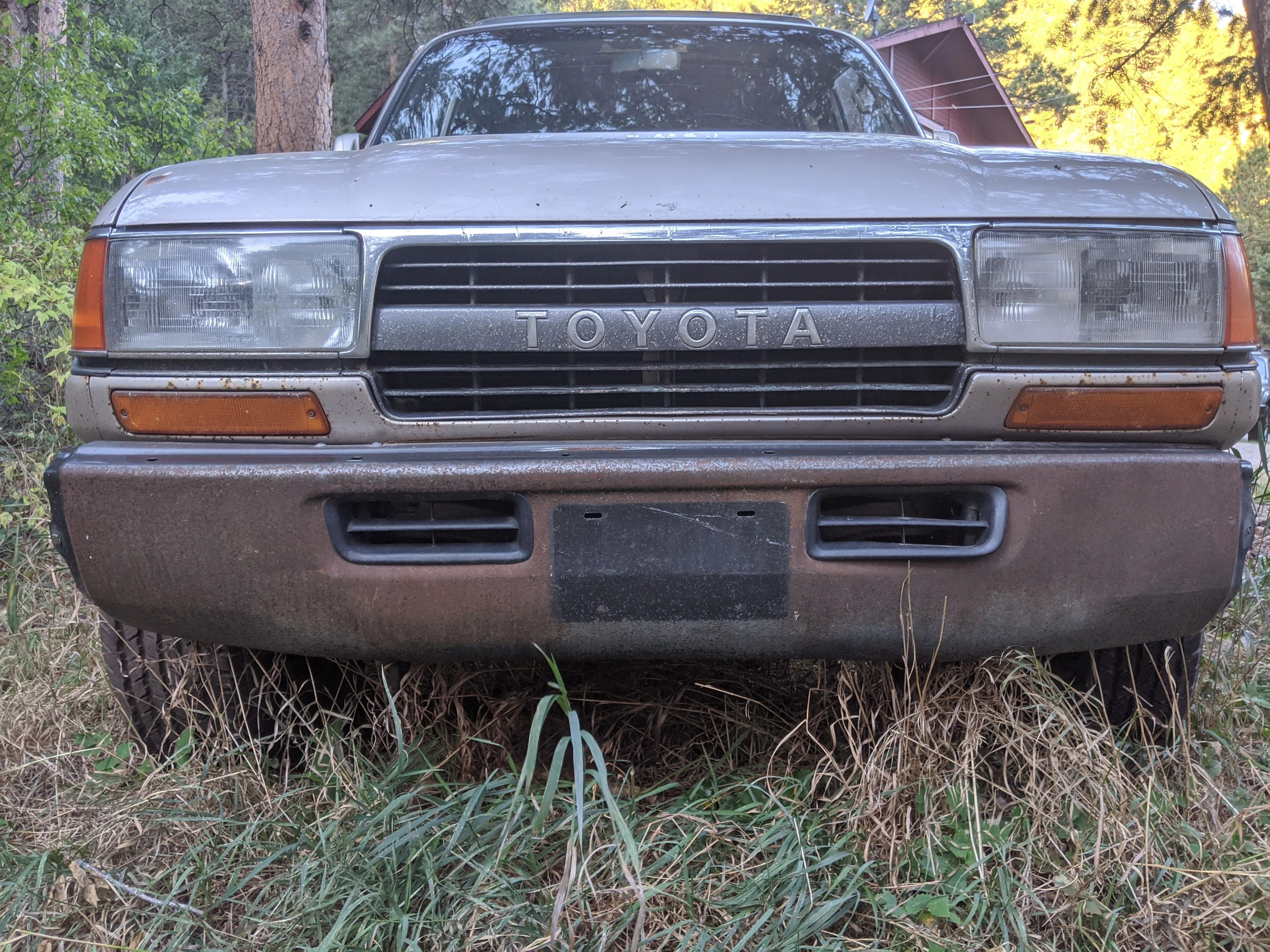 MVIMG_20190925_072327.jpg