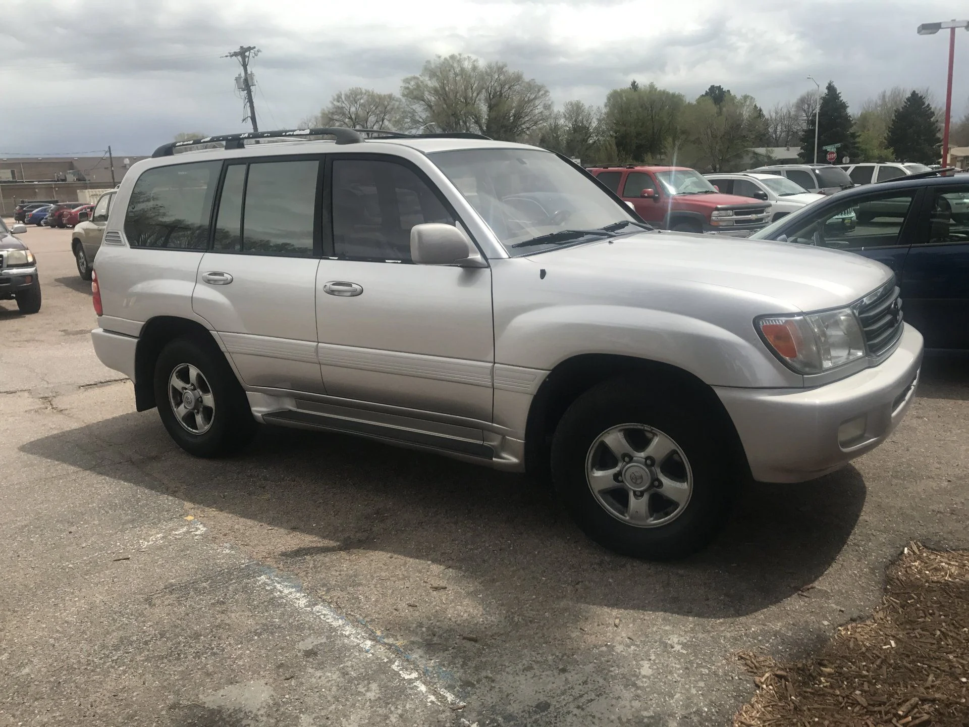 My 100