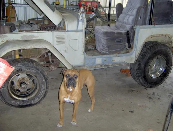 my cruiser and pup
