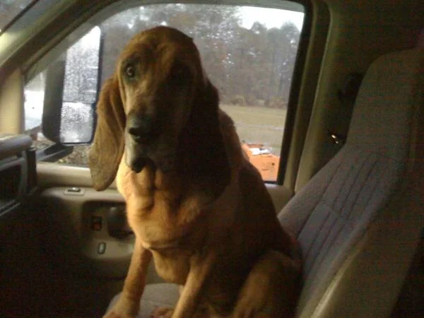 My spotter