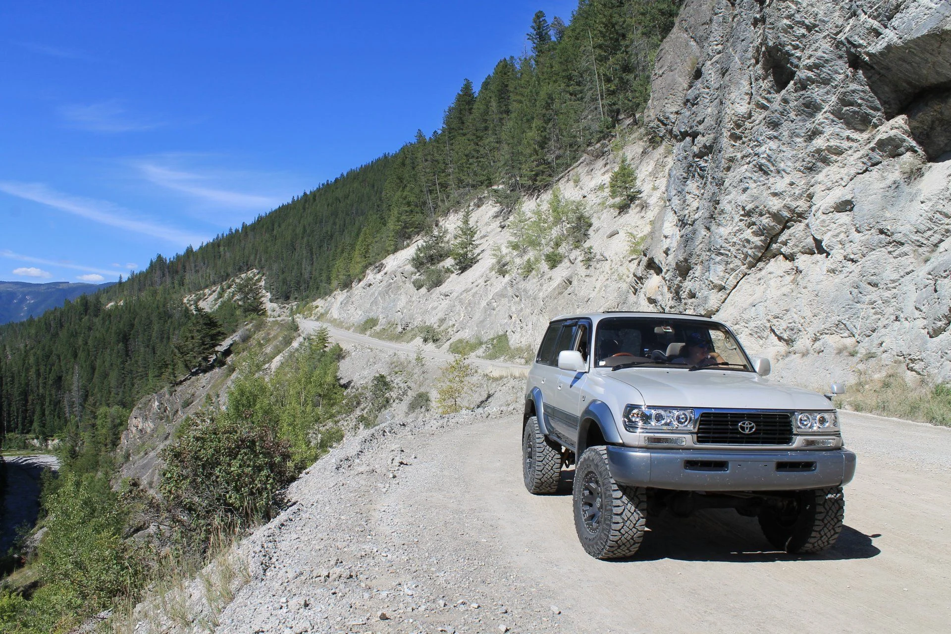 Natural Habitat