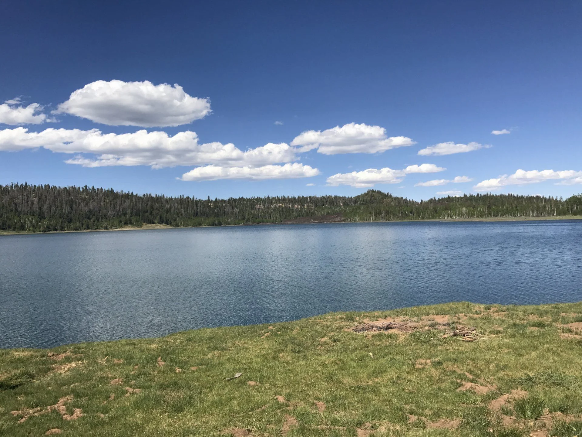 Navajo lake utah