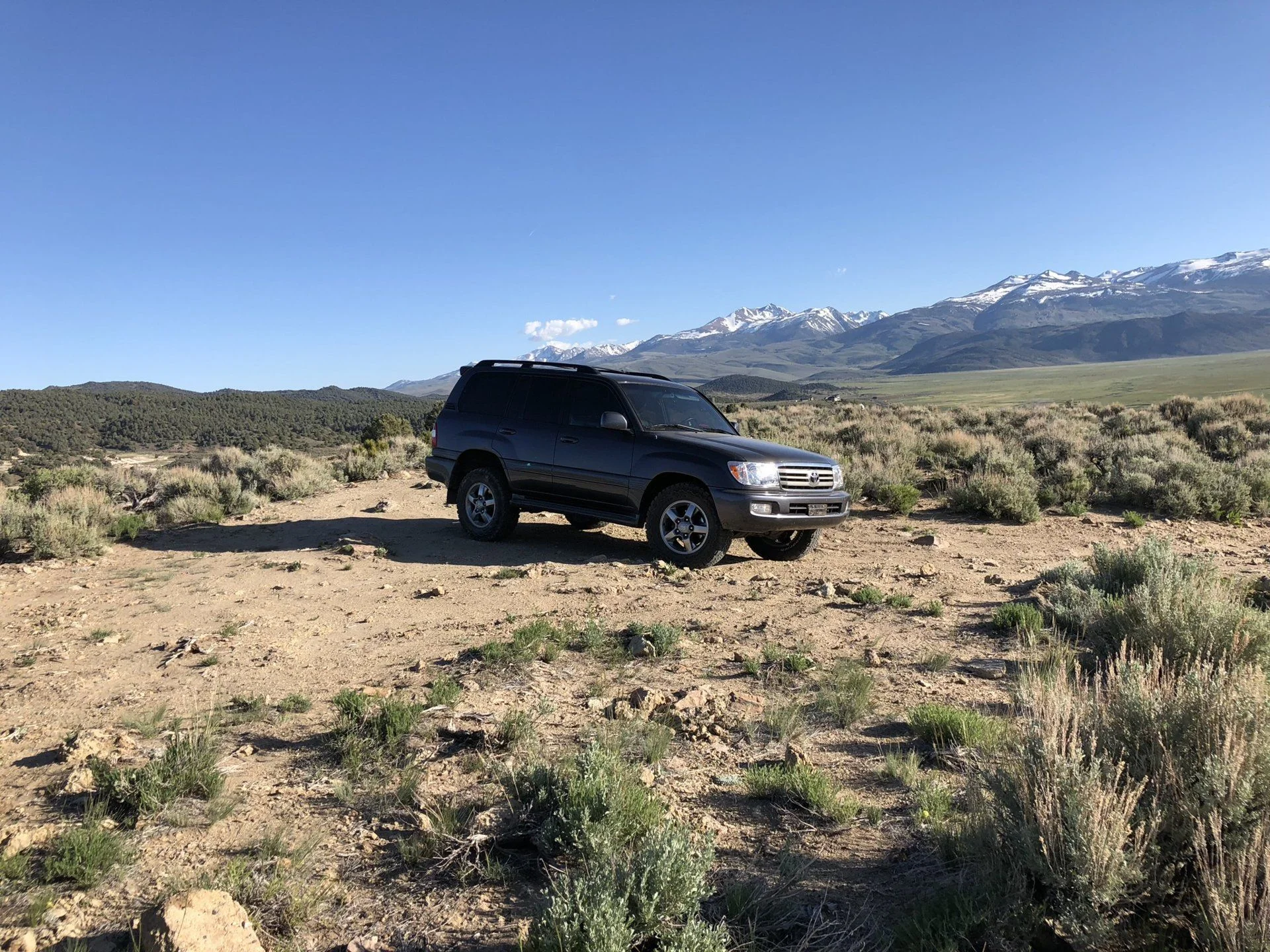 Near Bridgeport, CA