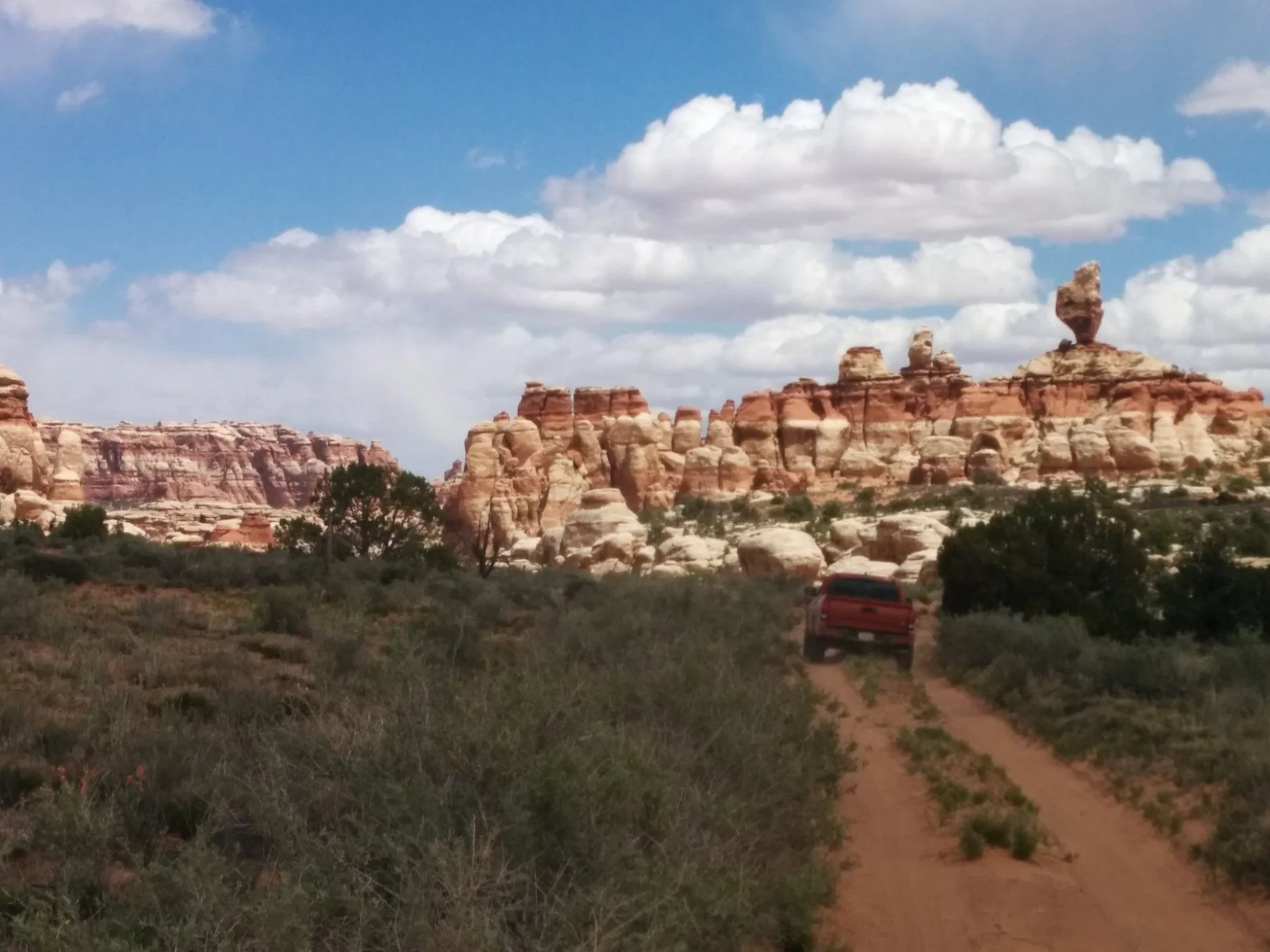 Needles district