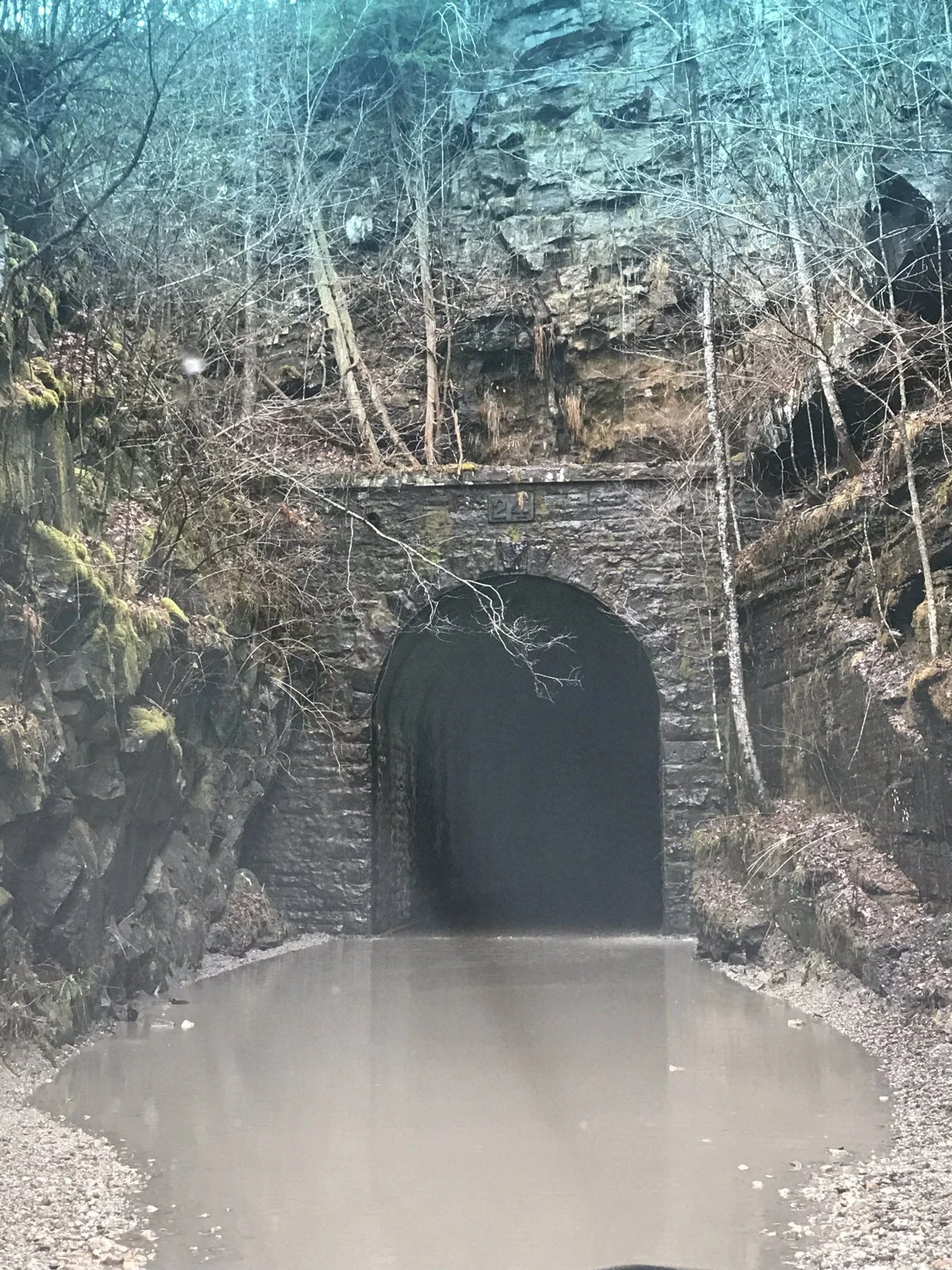 Nemo tunnel