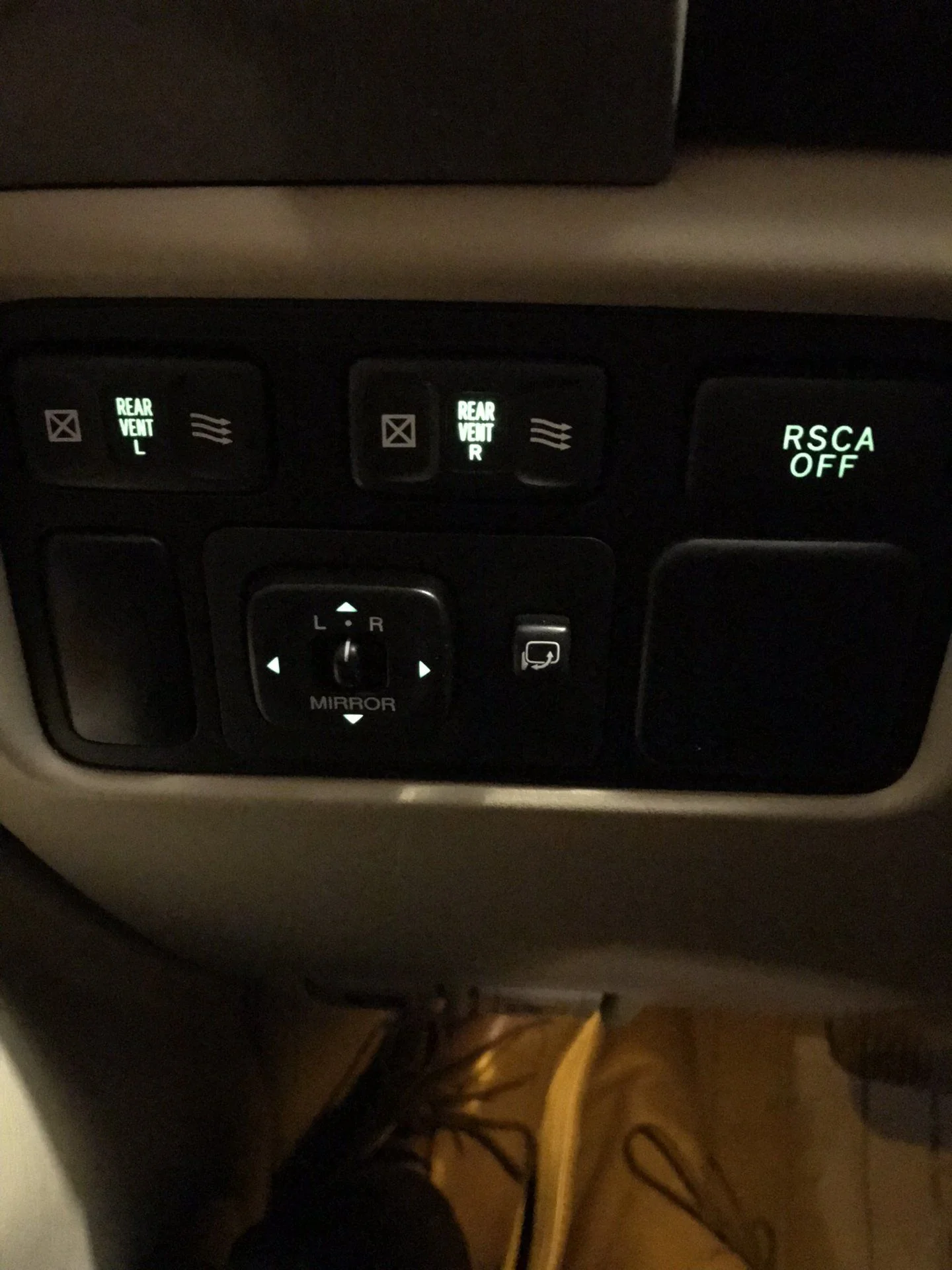 New button bulbs...sometimes it's the little things