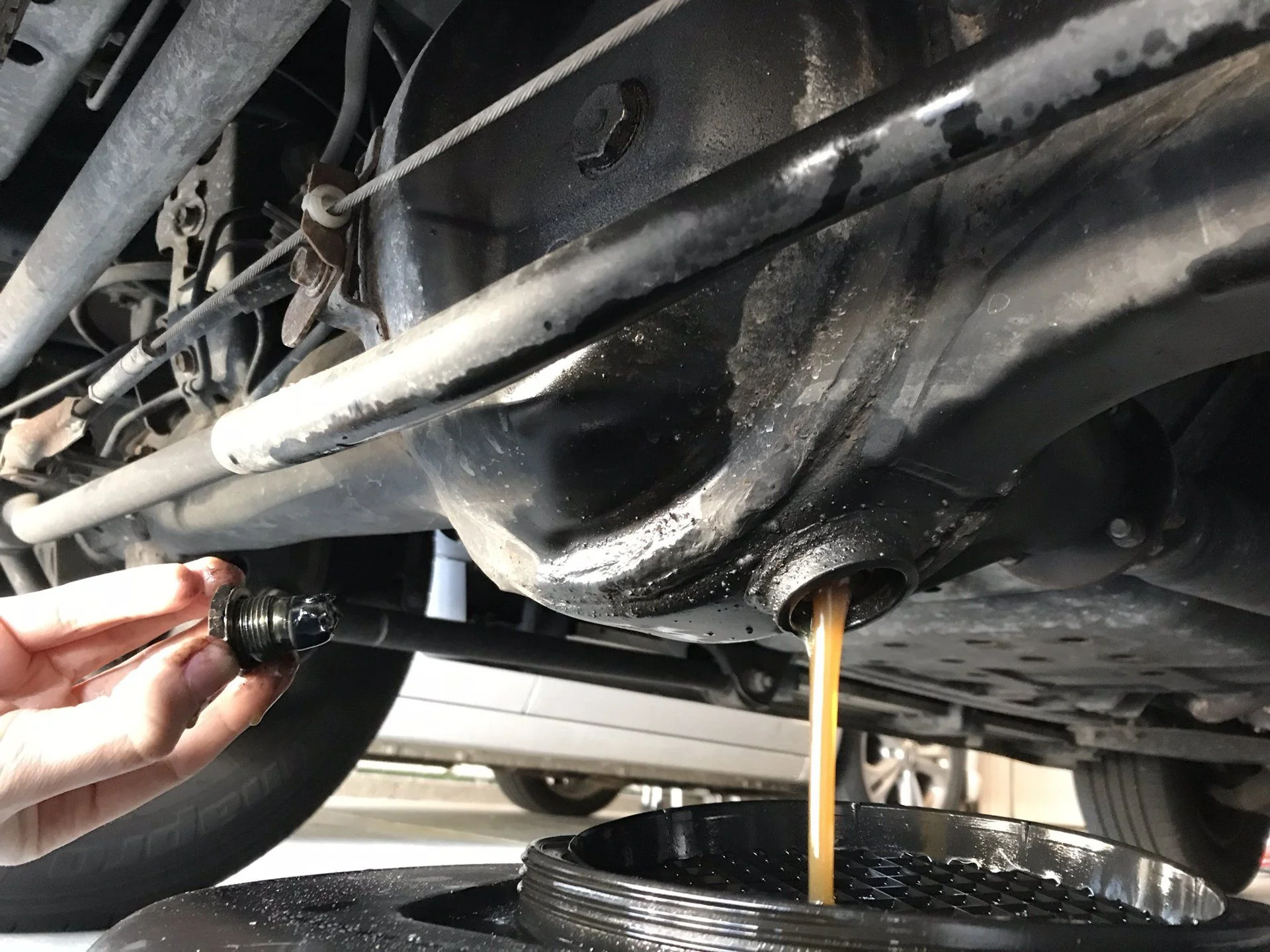 New gear oil for the diffs and transfer case