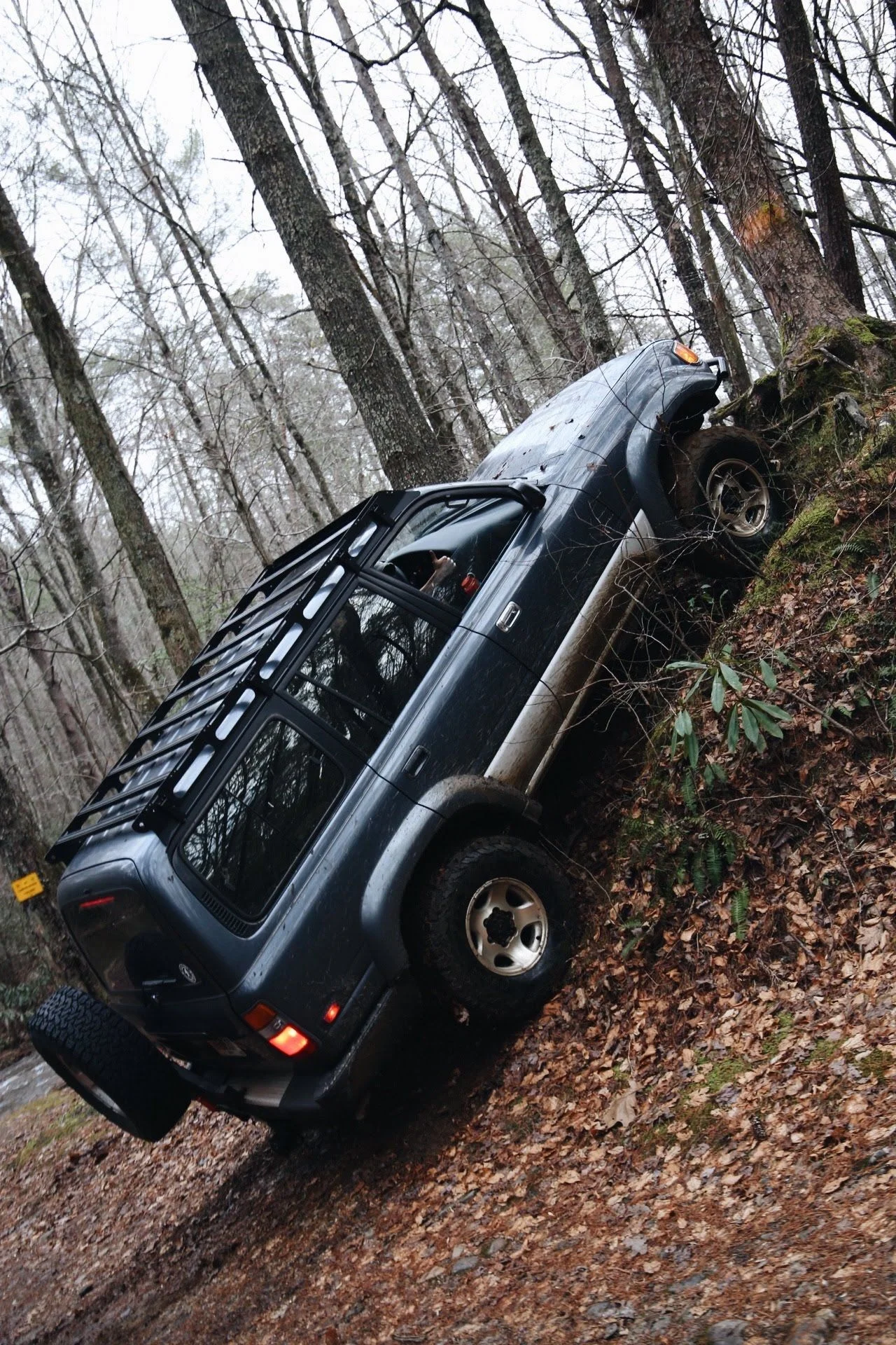 Nimblewill Gap - Dec. 2018