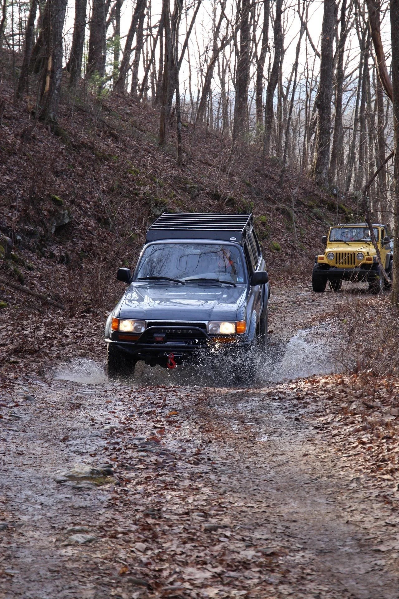 Nimblewill Gap - Dec. 2018