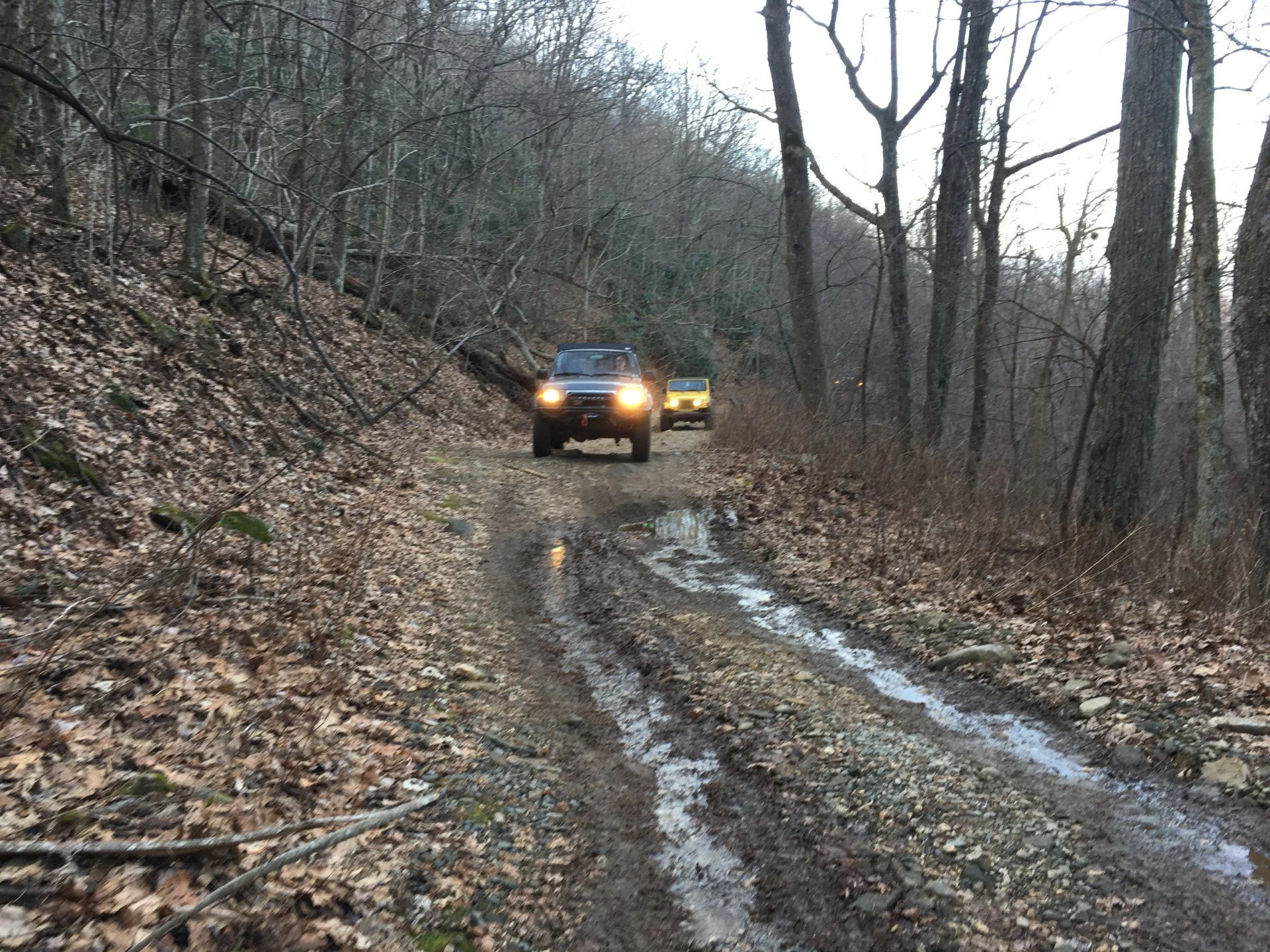 Nimblewill Gap - Dec. 2018