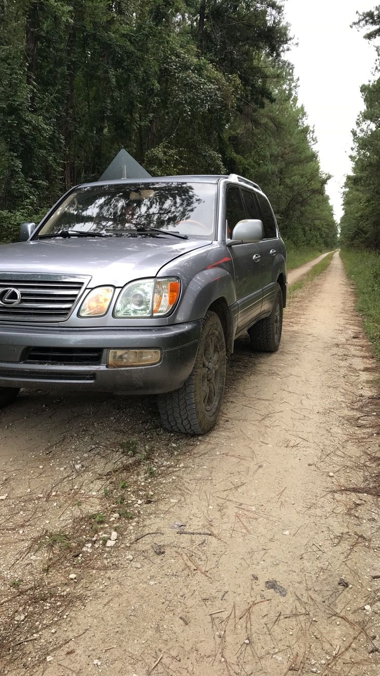 No better look than a layer of mud!