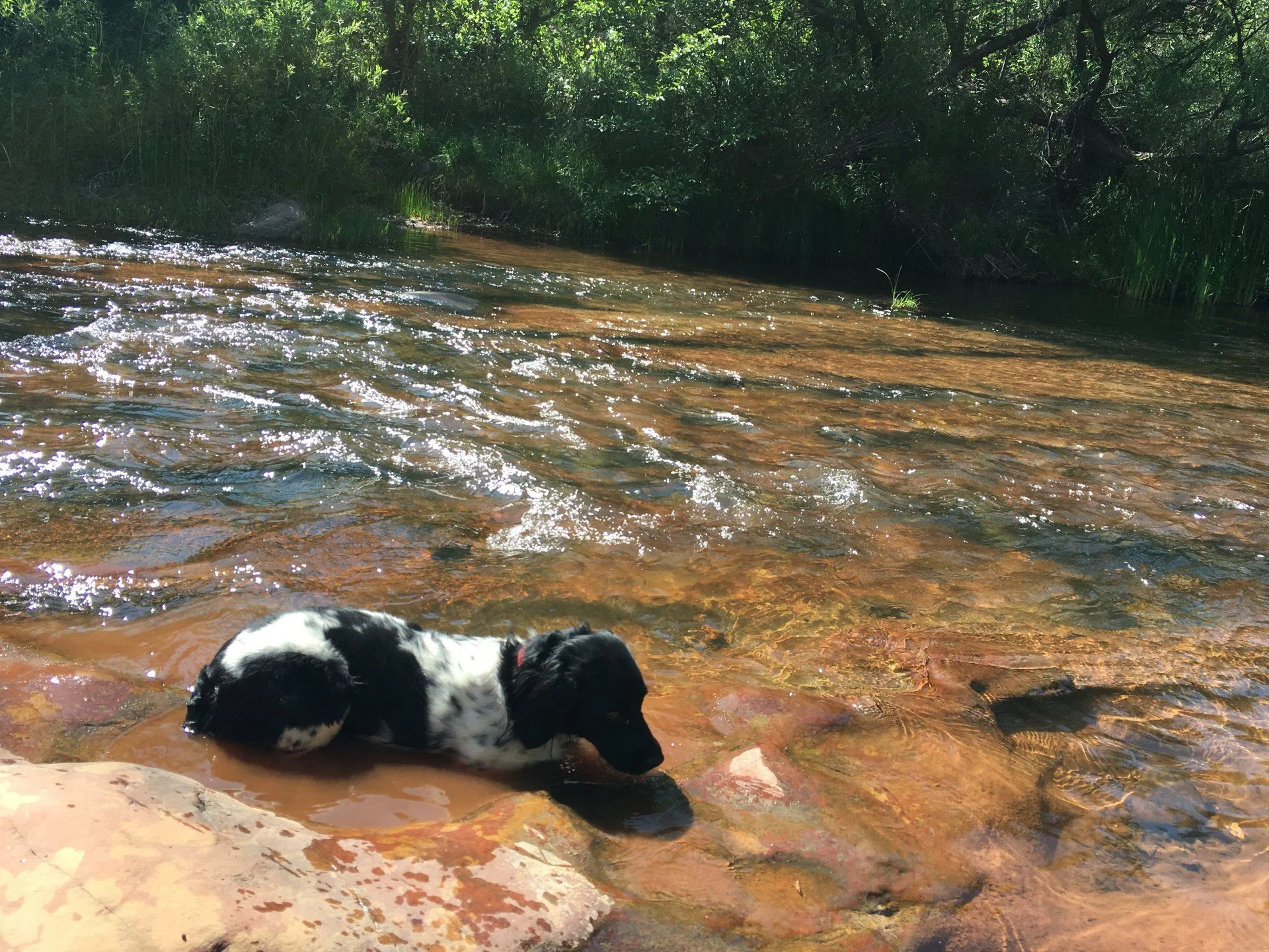 Oak Creek Homestead