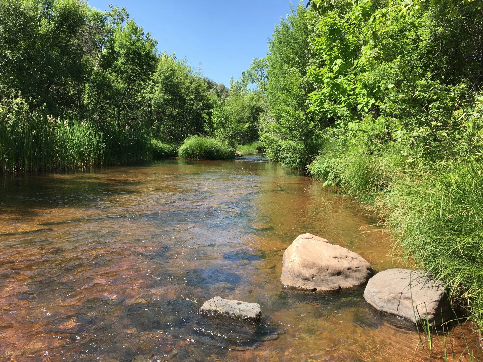 Oak Creek Homestead