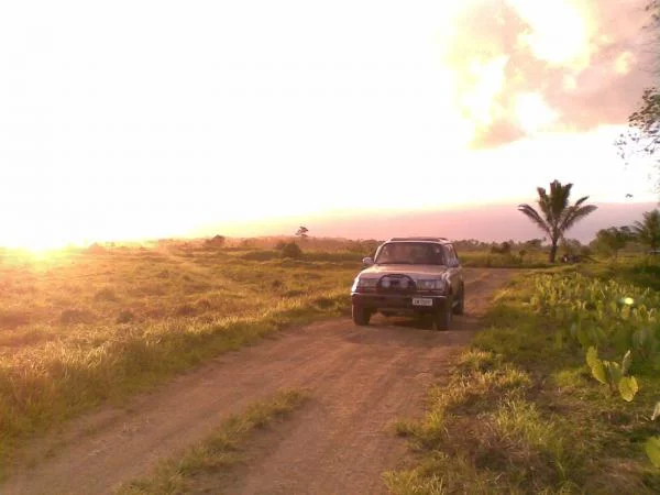 Off to farm