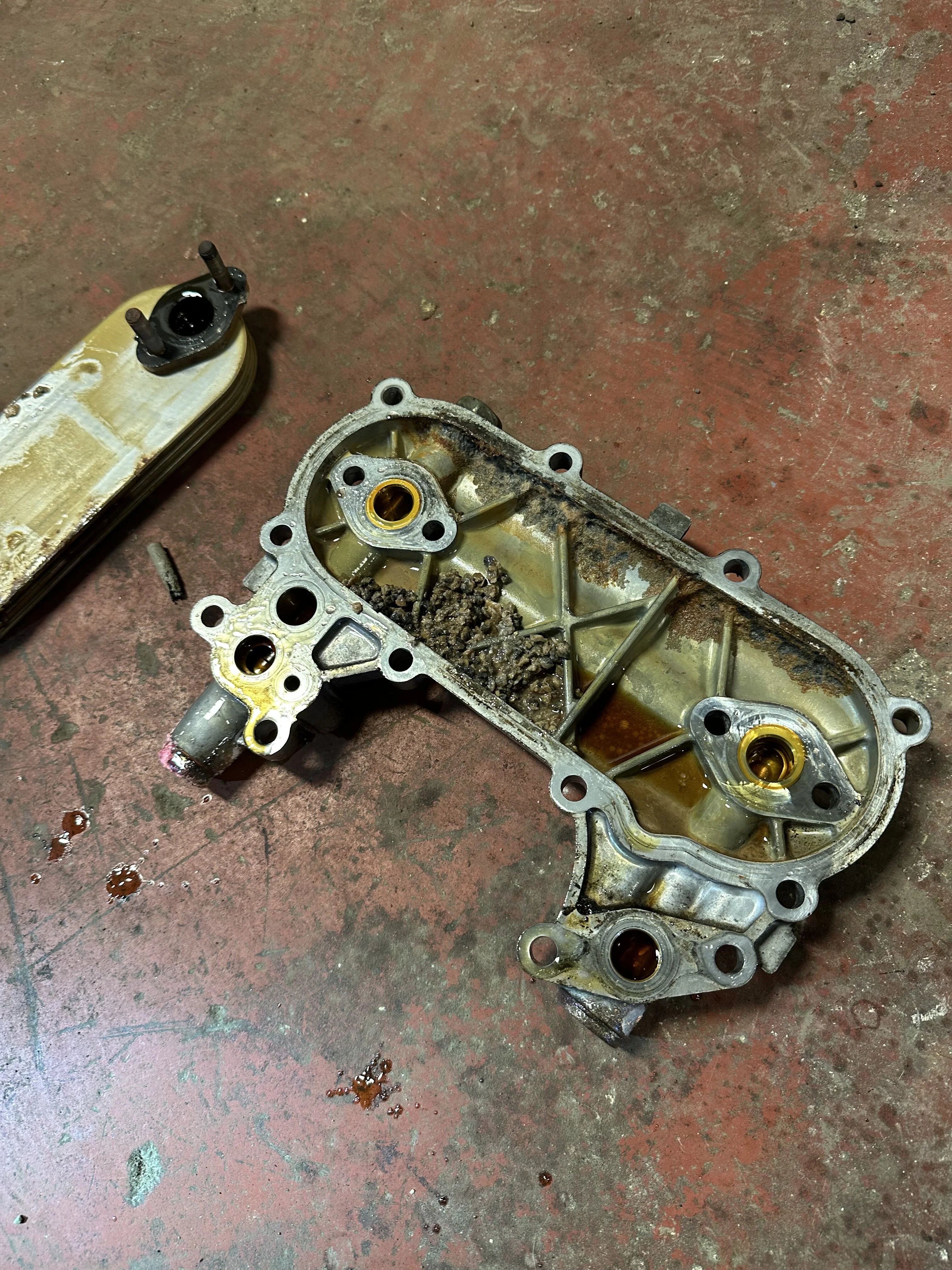 Oil Cooler Cover removed