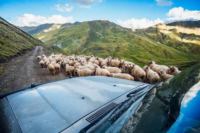 On the way to Omalo