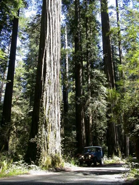 oregon, california 046