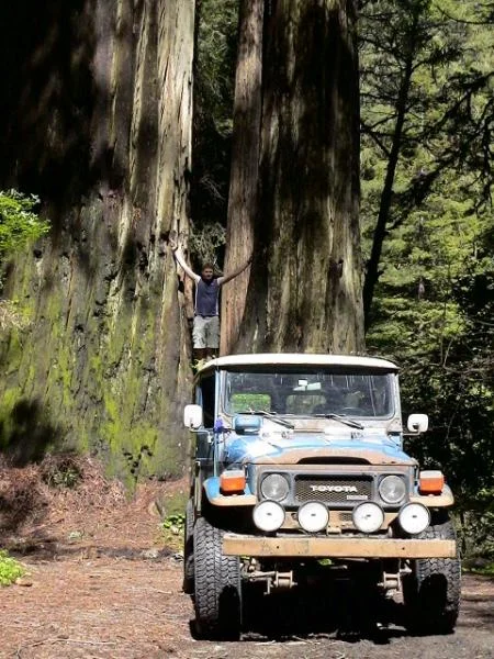 oregon, redwood ,smurf and me