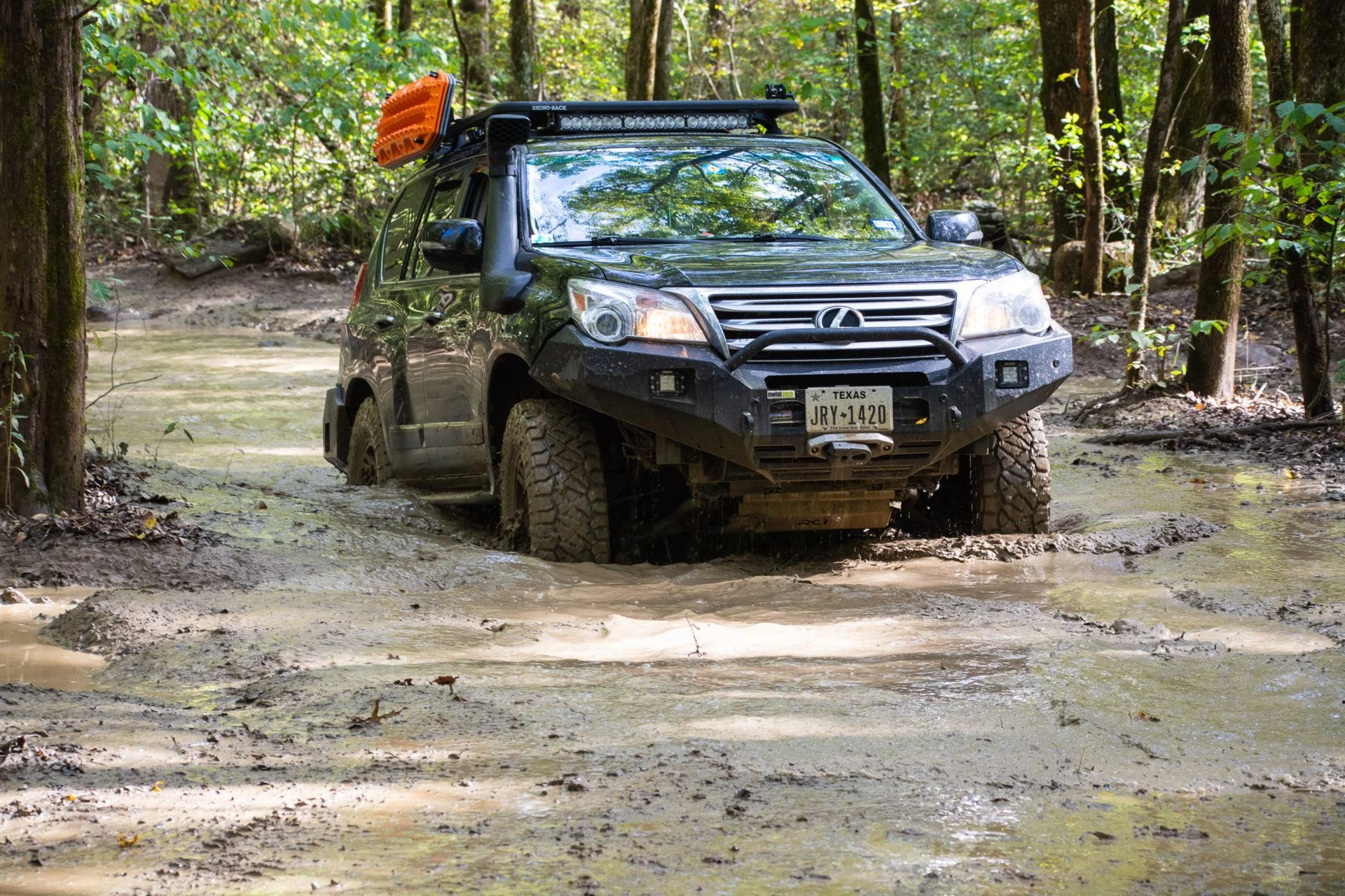 Ozark National Forest GX460