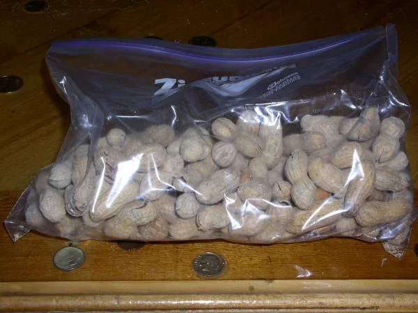 peanuts