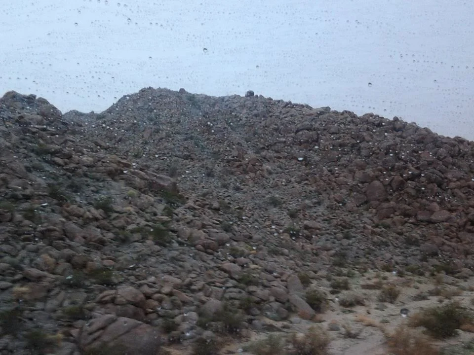 Phoenix and wheeling 14