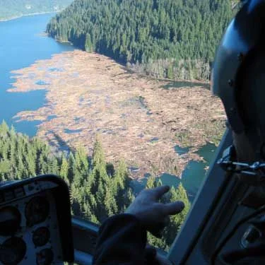 pic of the helicopter flying over the lake showing all the trees that where broken off and washed into the lake by the landslide and giant wave.