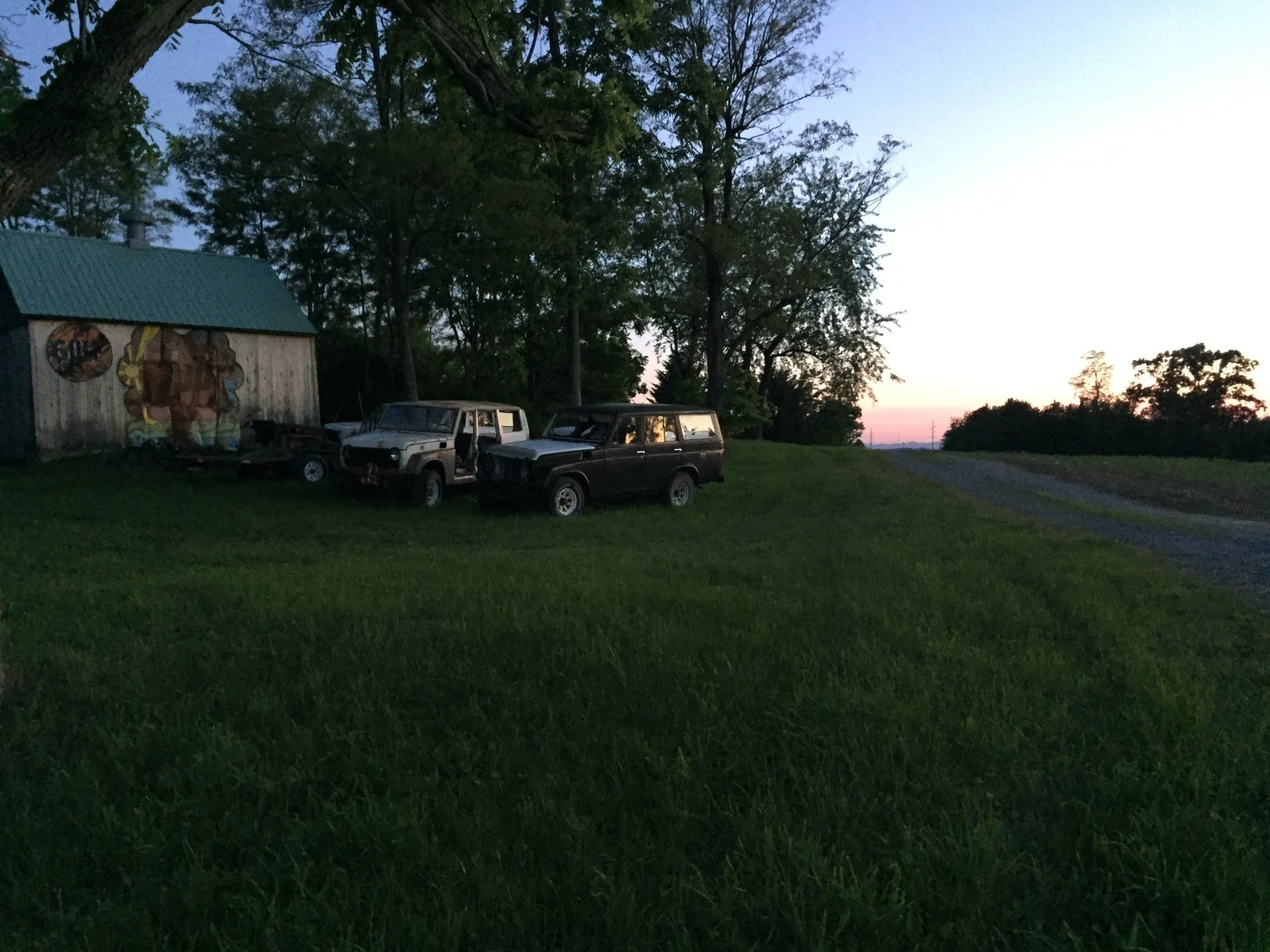 Pigs by the barn