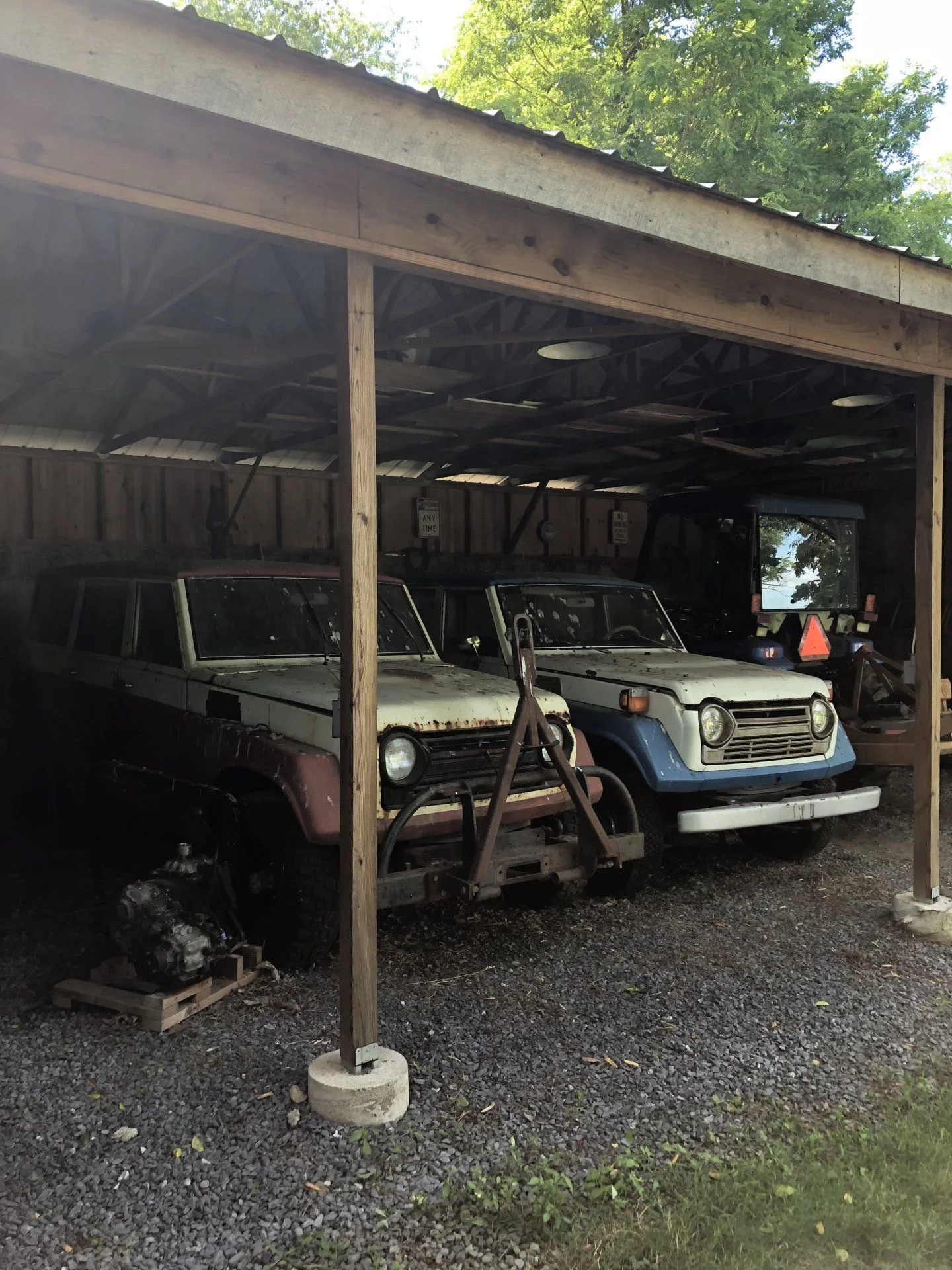 Pigs in the barn