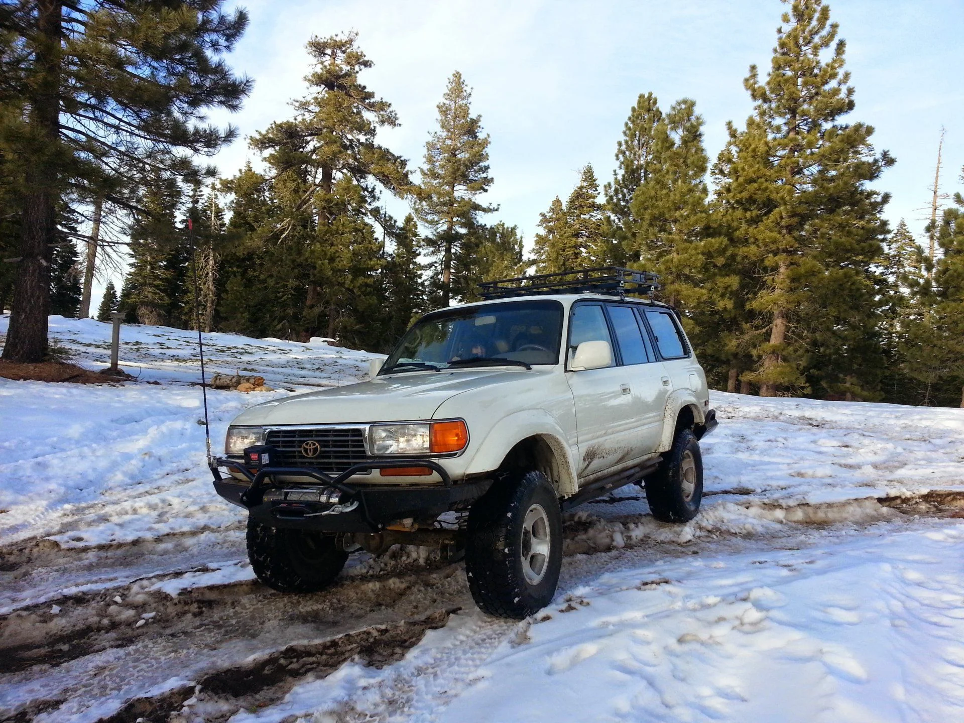 Playing in the Snow