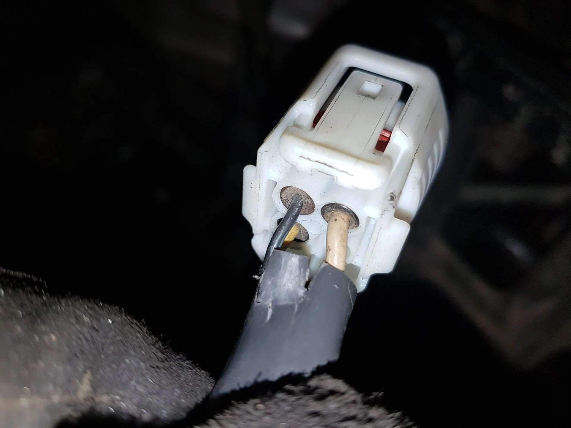 Plug