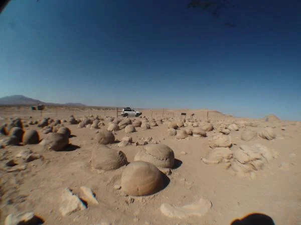 Pumpkin Patch - Ocotilla Wells CA