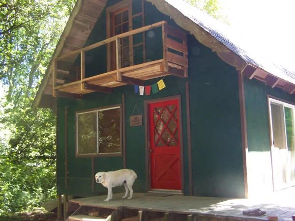 Quincy the lab.  Boy and dog were born on the same day.