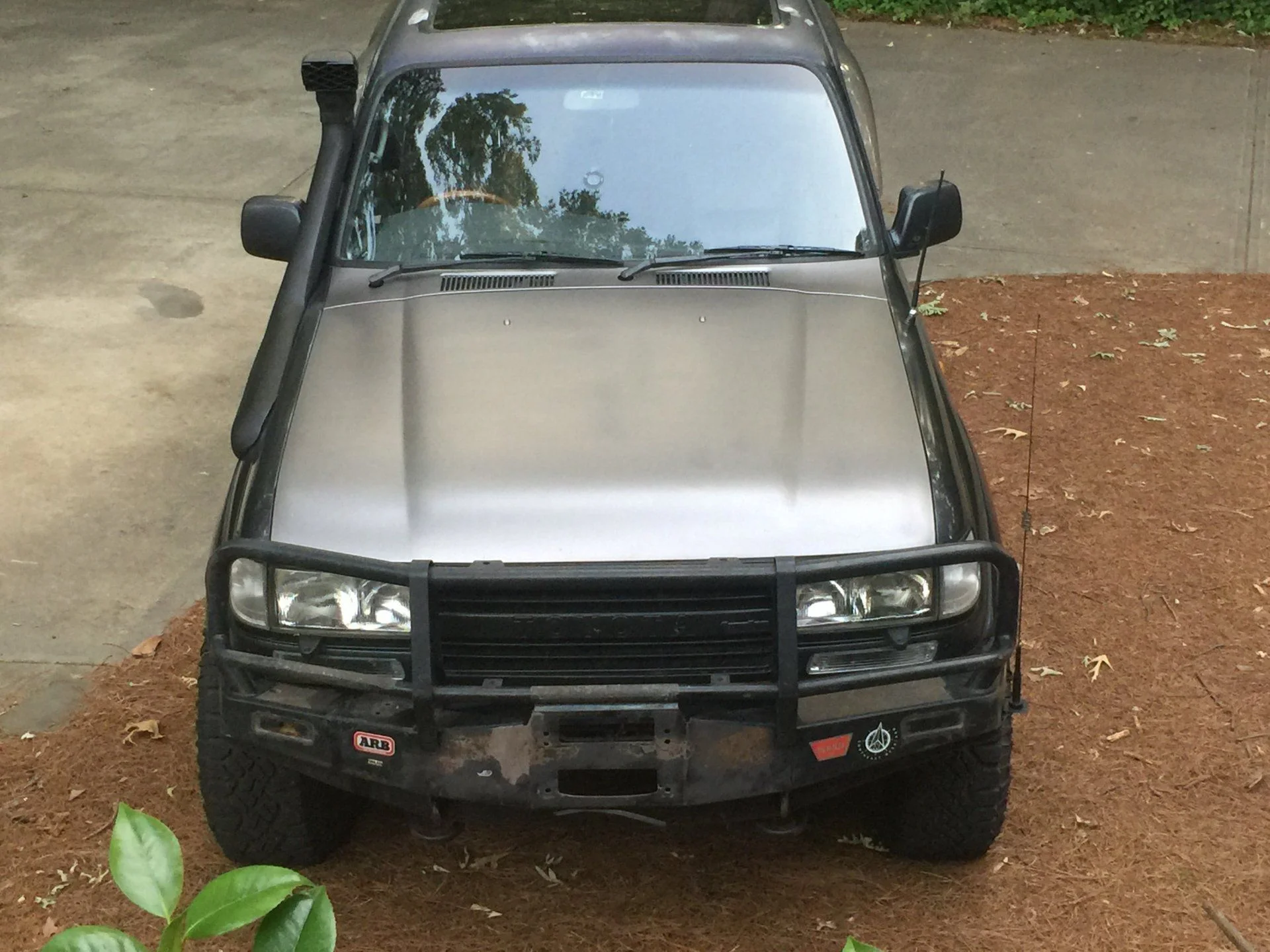 Raisin Bumper mounted