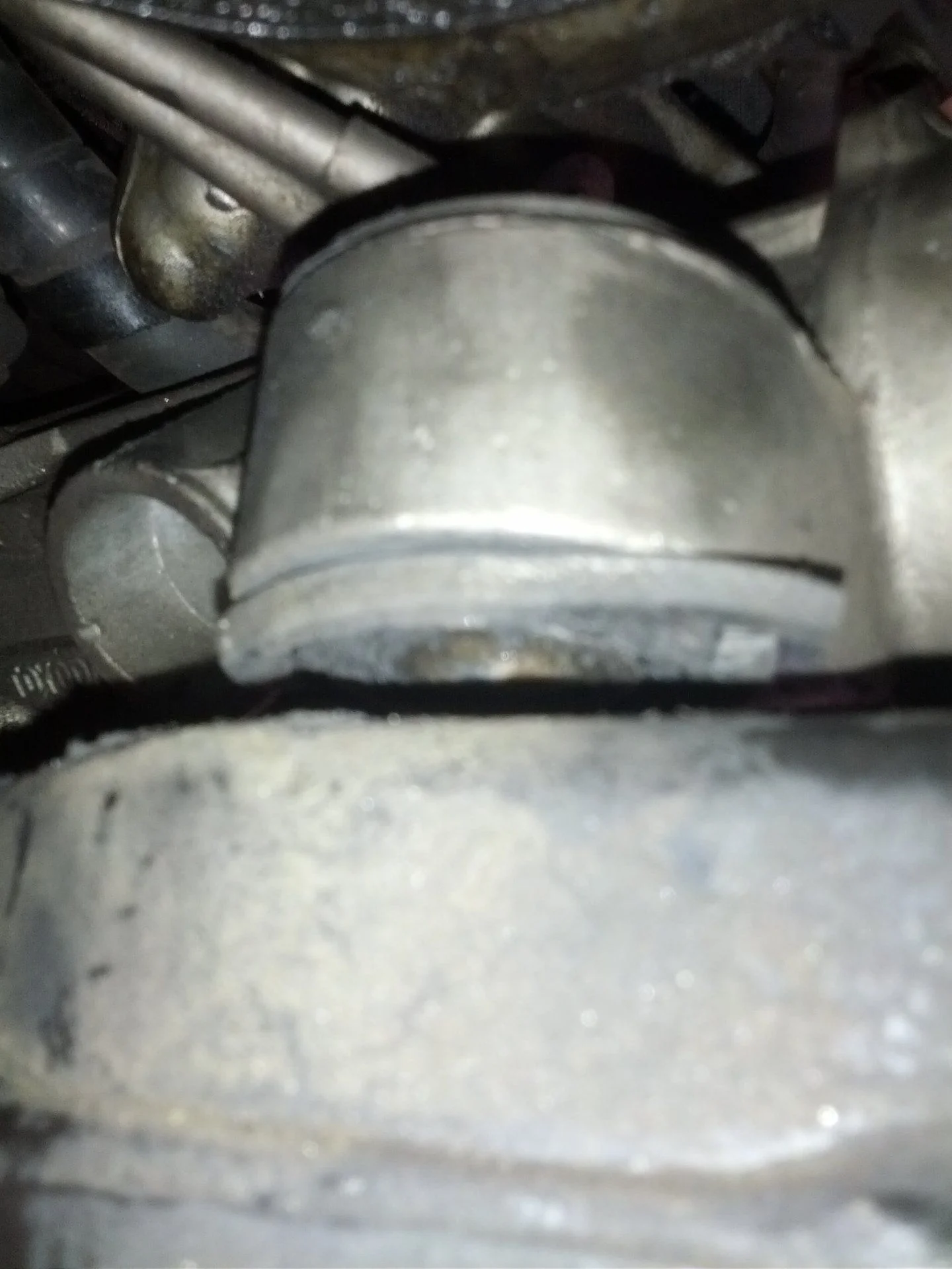 Rear bush