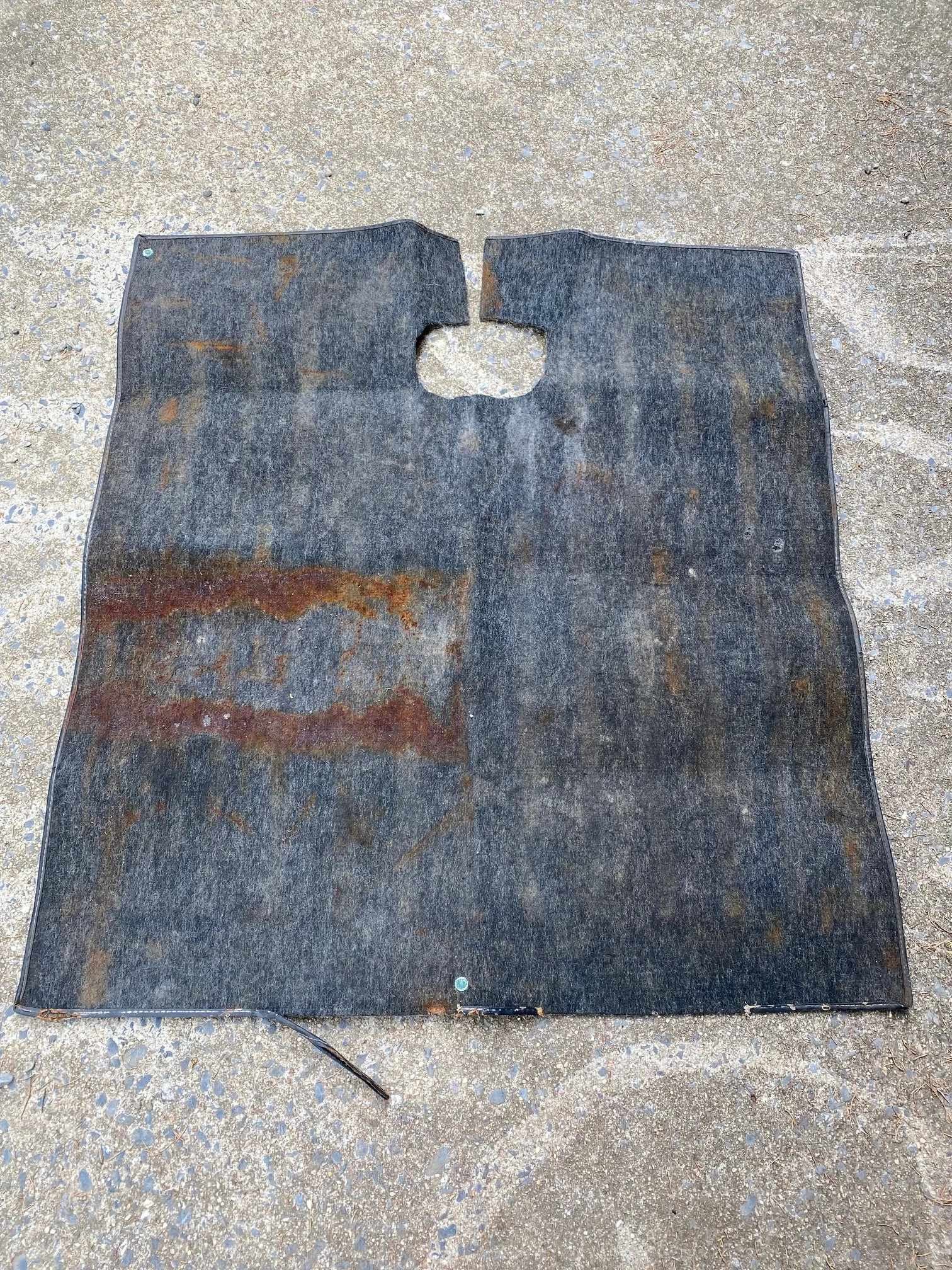 Rear Carpet
