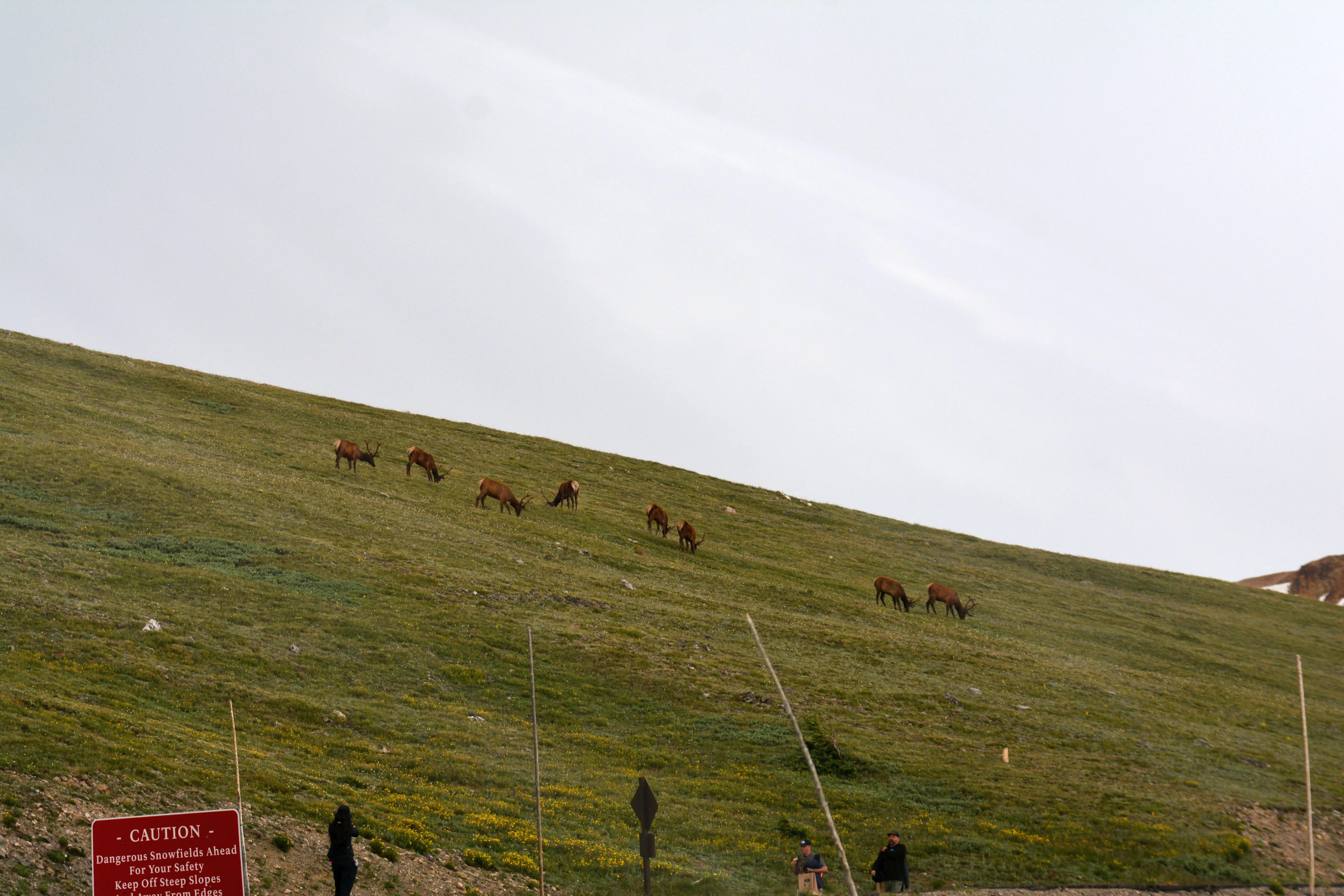 Rocky Mtn 1 .webp