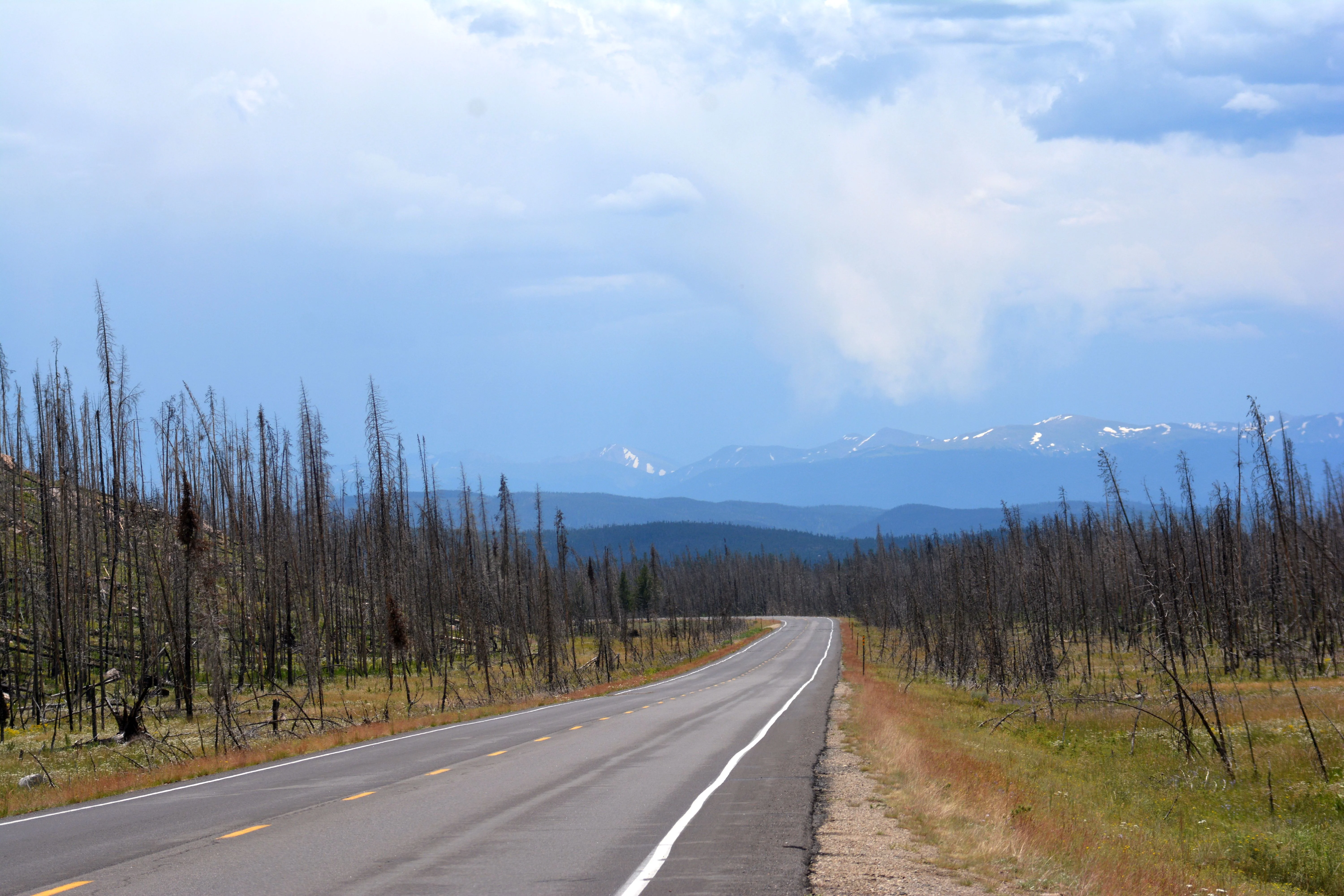 Rocky Mtn 3.webp