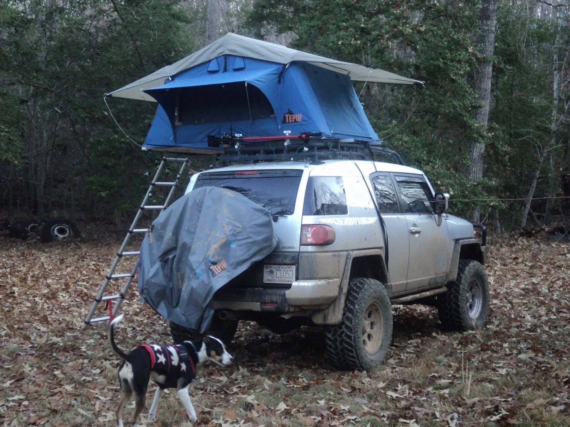 Roof Top Tent