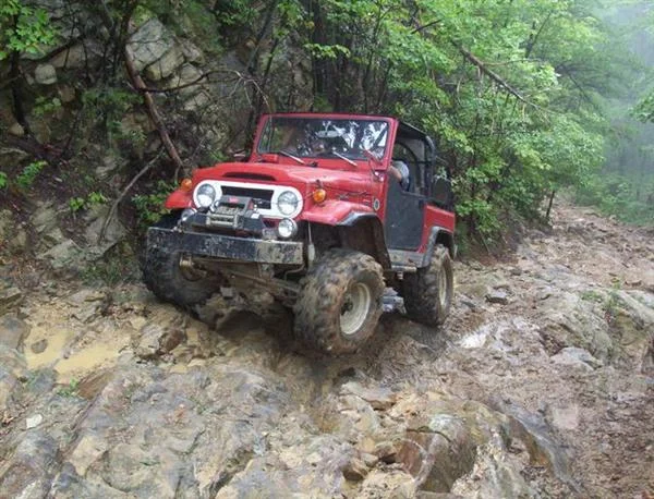 Royal Bue, TN