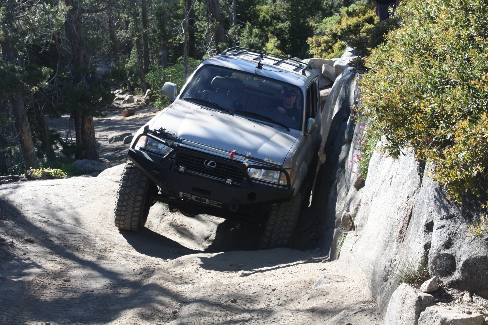 Rubicon