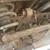 Rusty 80 Series