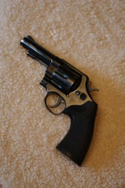 S&W .41 Mag (2)