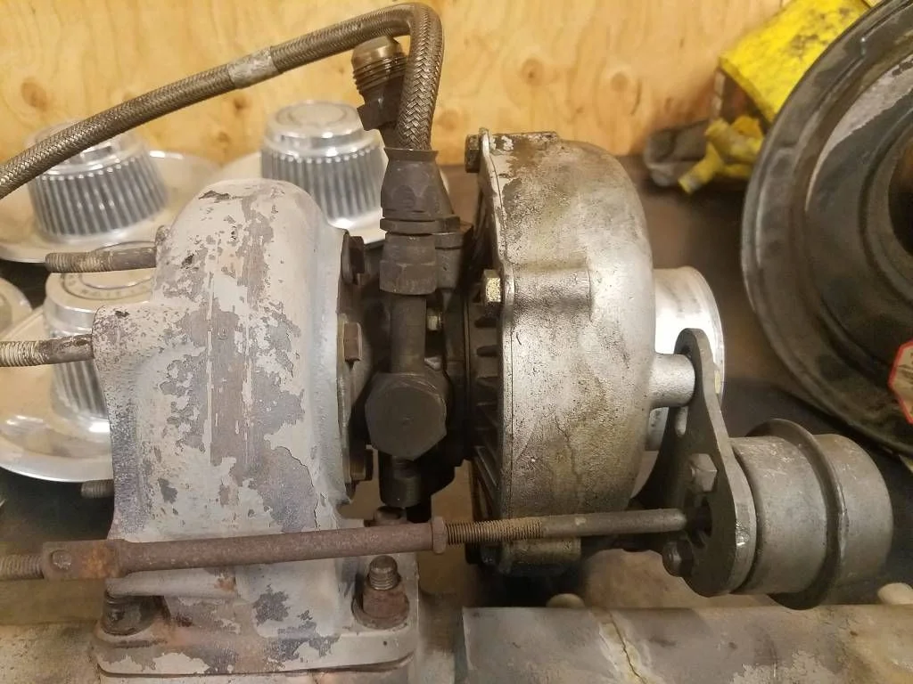 Safari Turbo 1