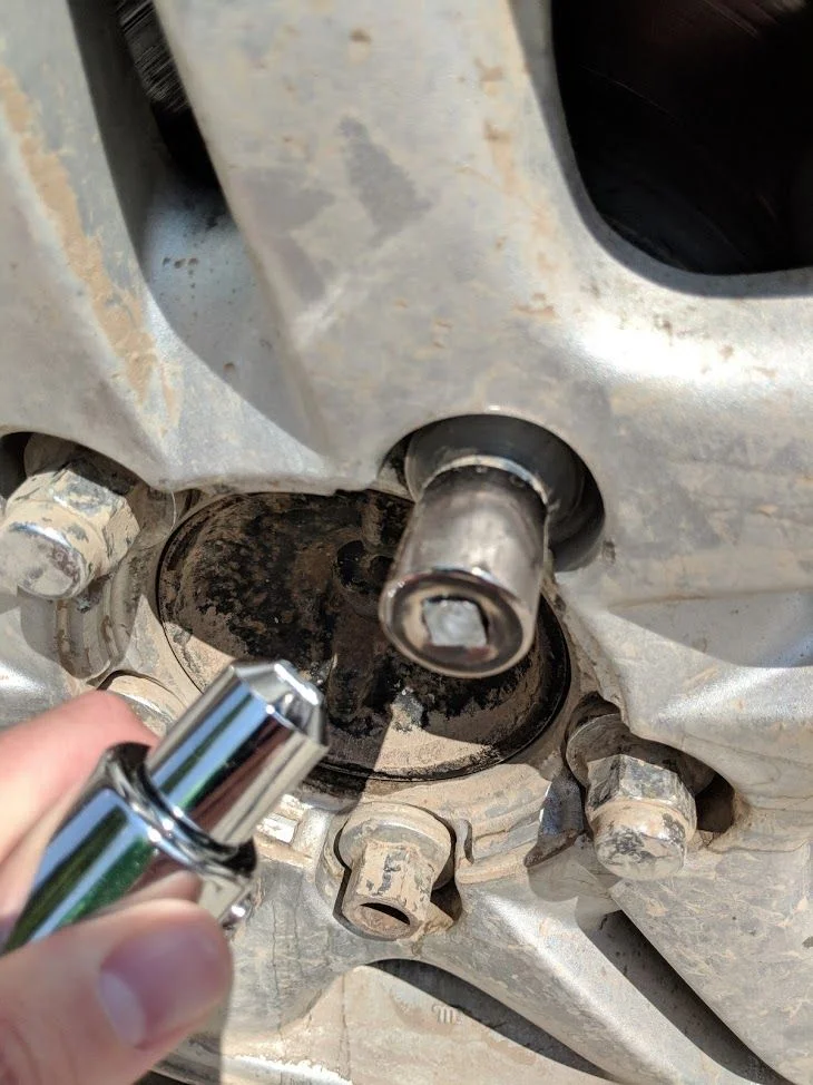 Sheared Lug.